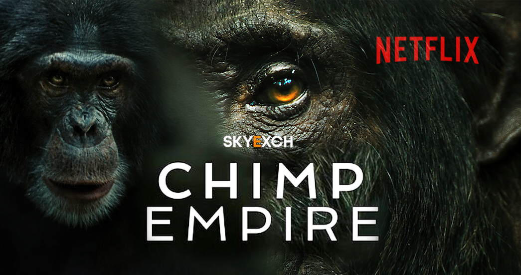 Chimp Empire (2023) Hindi Dubbed Season 01 Complete